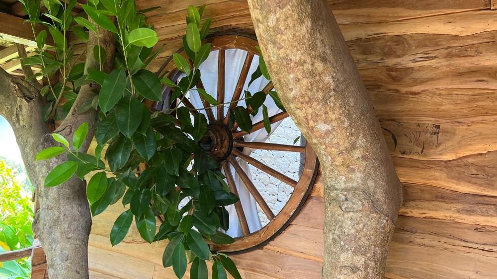 Roots Tree House Villa Uluwatu Rum bild